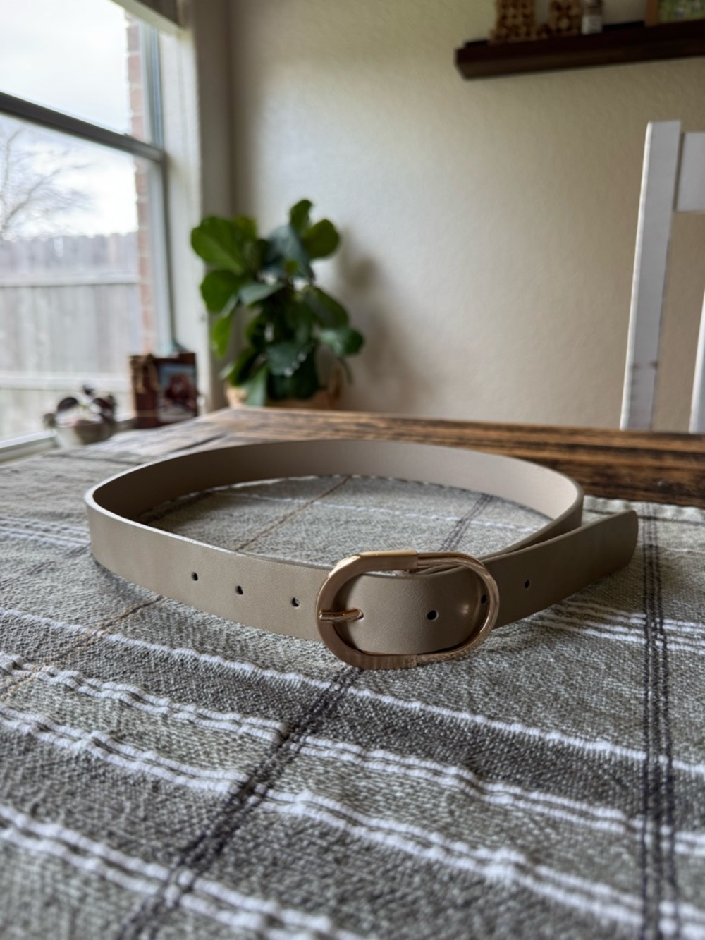 Amazon belt